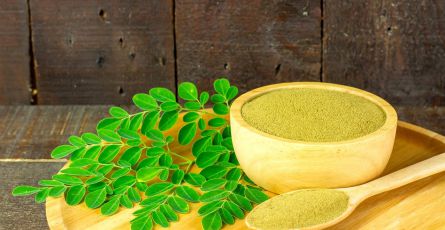 Moringa – właściwości i zastosowanie starożytnego suplementu